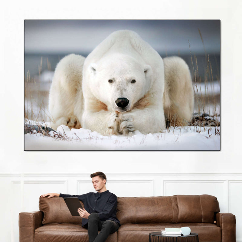 Yoga Polar Bear Wall Art
