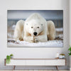 Yoga Polar Bear Wall Art