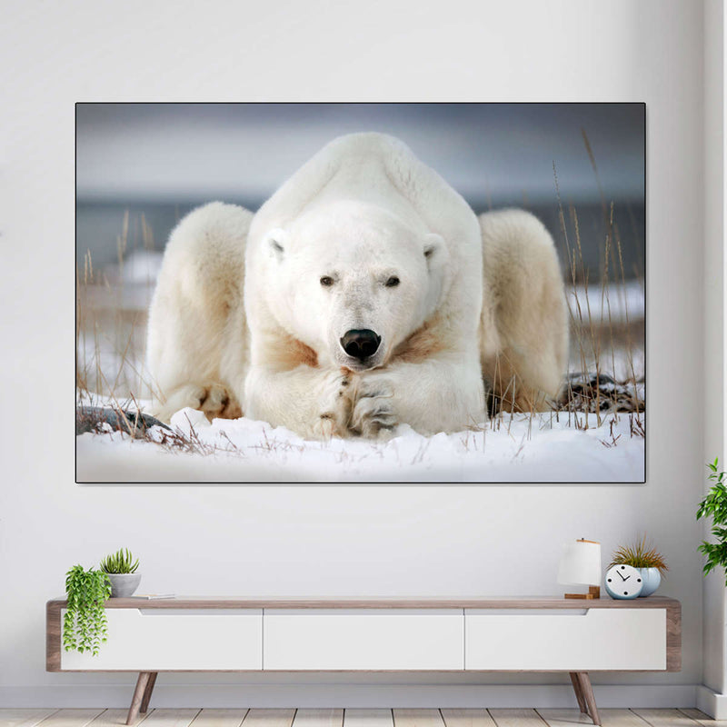 Yoga Polar Bear Wall Art