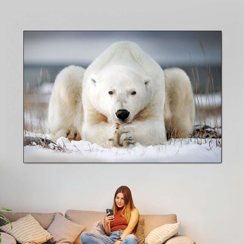 Yoga Polar Bear Wall Art