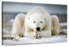 Yoga Polar Bear Wall Art