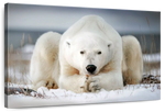 Yoga Polar Bear Wall Art