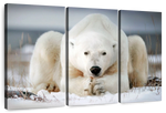 Yoga Polar Bear Wall Art