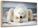 Yoga Polar Bear Wall Art