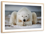 Yoga Polar Bear Wall Art
