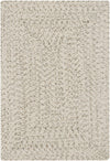 Beige Braided Faux Jute Rug