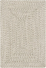 Beige Braided Faux Jute Rug