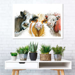 Livestock Cows Splash Wall Art