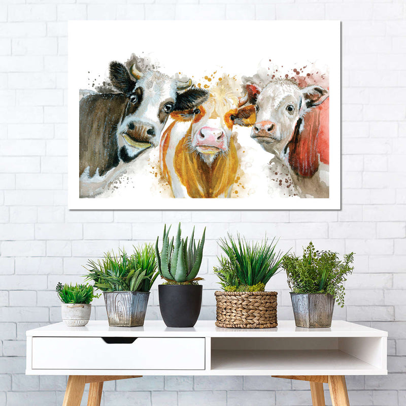 Livestock Cows Splash Wall Art