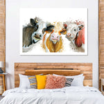 Livestock Cows Splash Wall Art