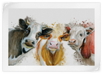 Livestock Cows Splash Wall Art