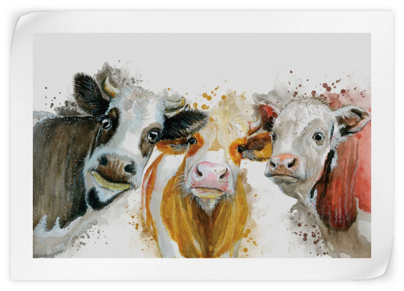 Livestock Cows Splash Wall Art