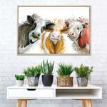 Livestock Cows Splash Wall Art