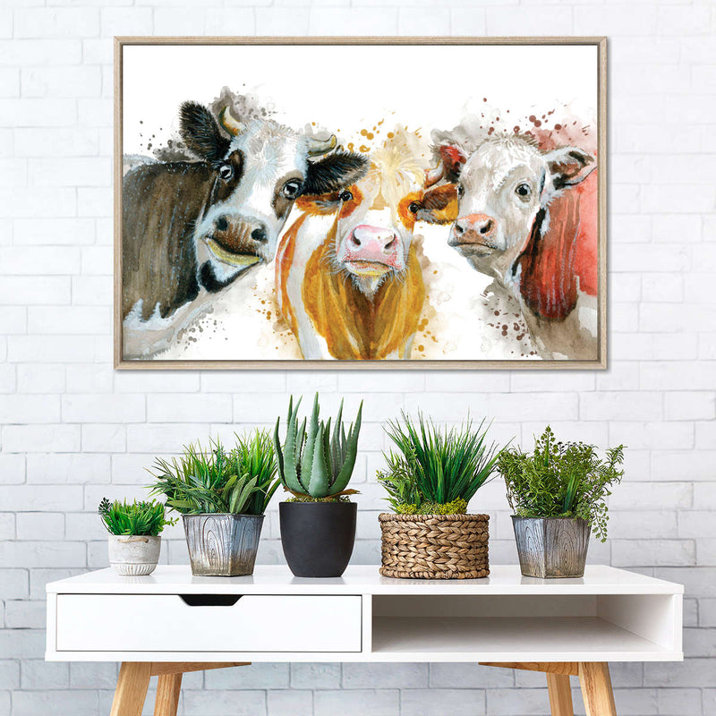 Livestock Cows Splash Wall Art
