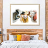 Livestock Cows Splash Wall Art