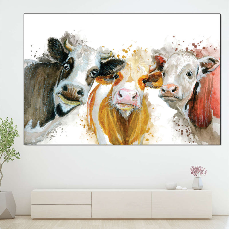 Livestock Cows Splash Wall Art