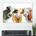 Livestock Cows Splash Wall Art