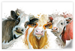 Livestock Cows Splash Wall Art