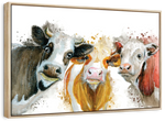 Livestock Cows Splash Wall Art