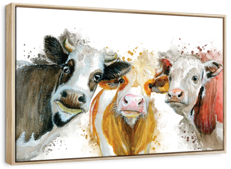 Livestock Cows Splash Wall Art