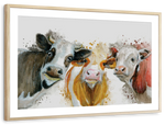 Livestock Cows Splash Wall Art