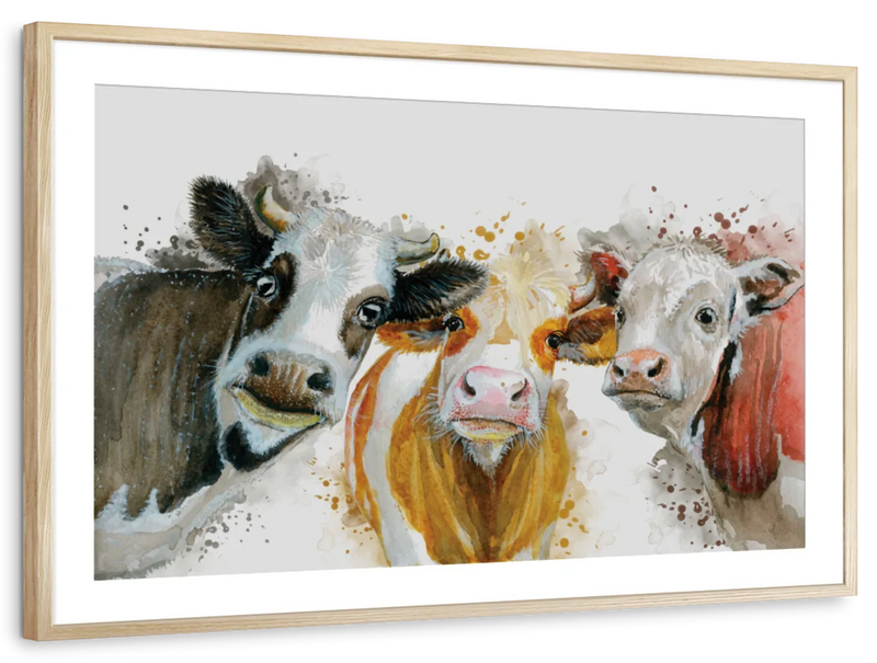 Livestock Cows Splash Wall Art