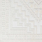 Alya White Fringe Rug