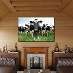 Holstein Cows Wall Art
