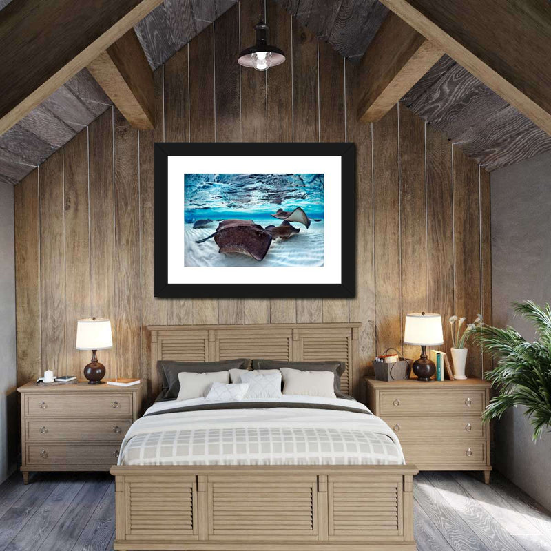 Stingrays Sea Life Wall Art