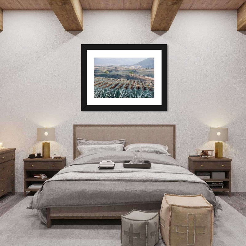 Tequila Jalisco Agave Field Wall Art