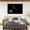 Monochrome Bull Elk Wall Art