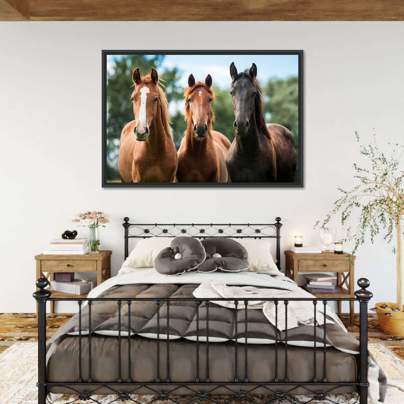 Young Horses Wall Art