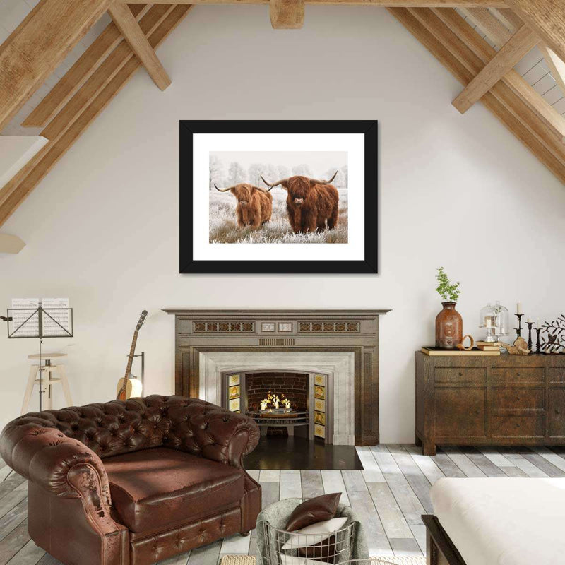 Hairy Scottish Highland Cows Wall Art