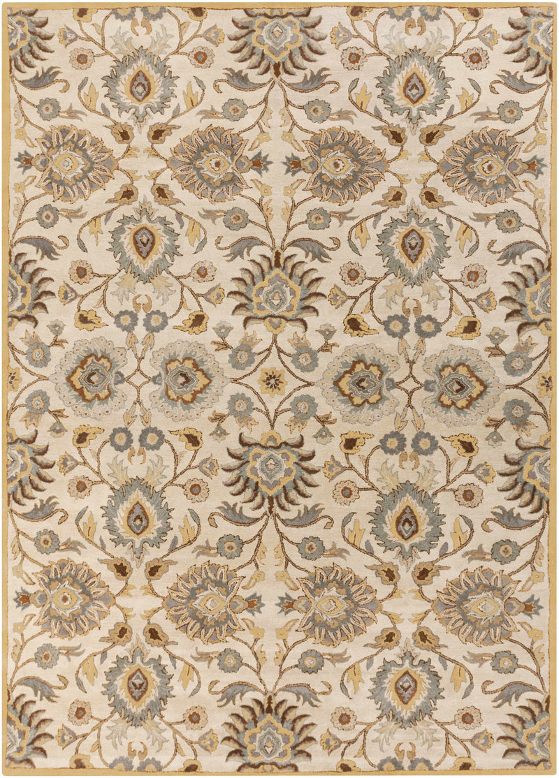 Conesus Hand Tufted Tan 1012 Wool Rug