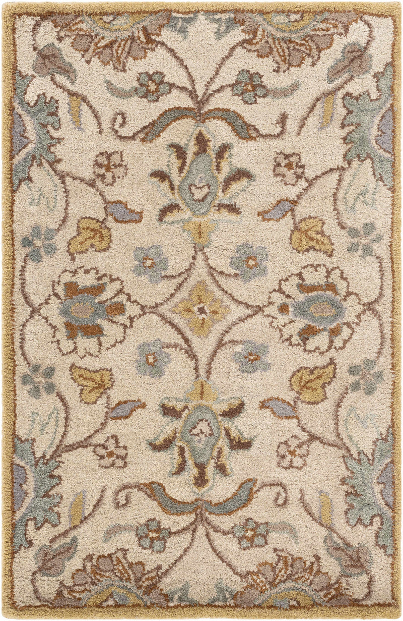 Conesus Hand Tufted Tan 1012 Wool Rug