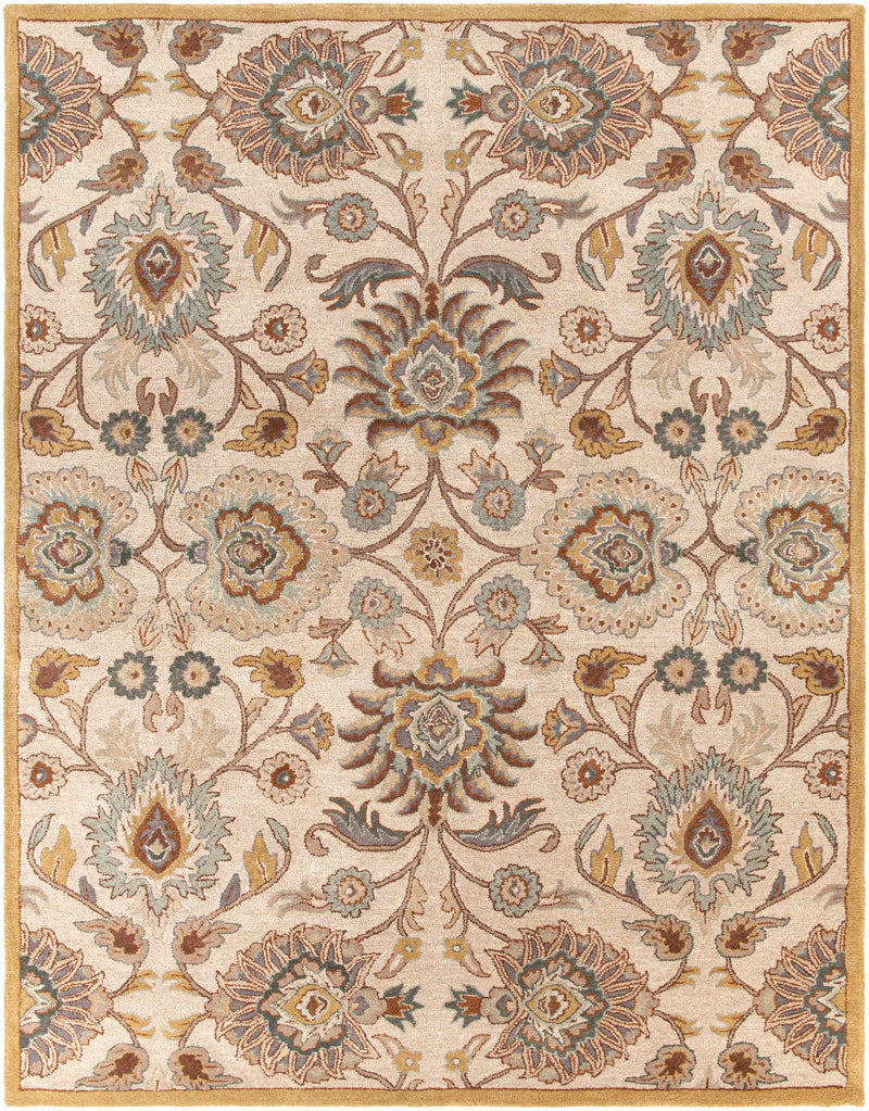 Conesus Hand Tufted Tan 1012 Wool Rug