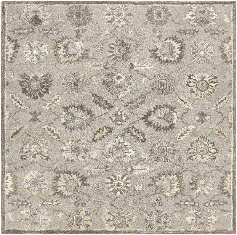 Kinistino Traditional Taupe Area Rug