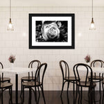 Monochromatic Rose Wall Art