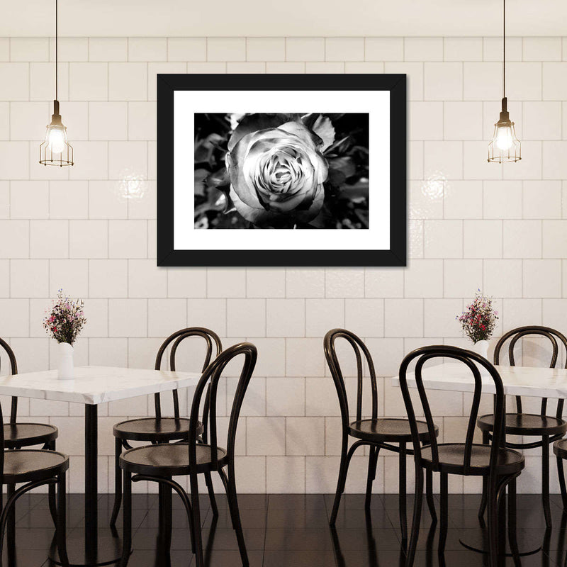 Monochromatic Rose Wall Art