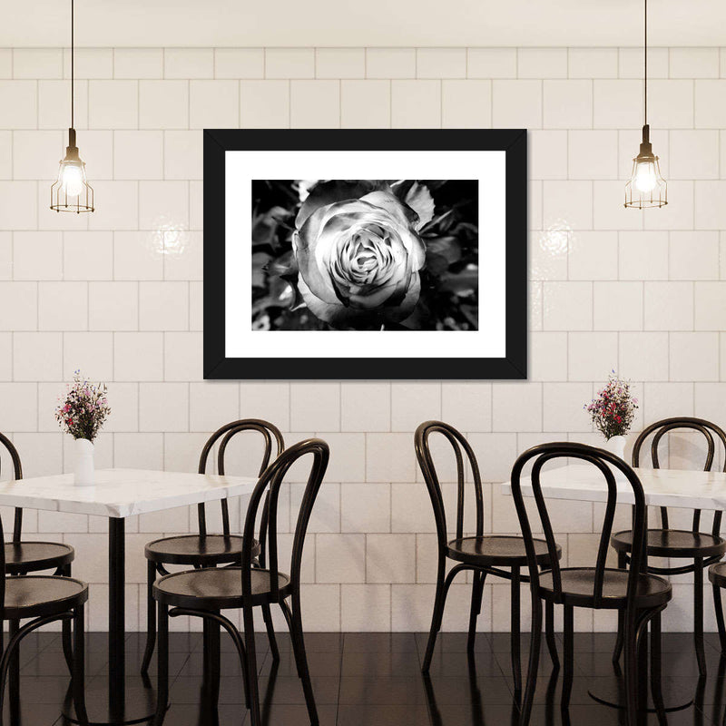 Monochromatic Rose Wall Art
