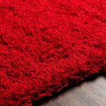 Siari Solid Red Shag Carpet