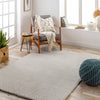 Heavenly Solid Beige Plush Rug