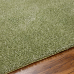 Heavenly Solid Green Plush Rug