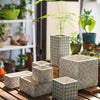 Cement Planter Blue Pattern Small Planter Randomly Picked Set of 3