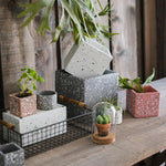 Cement Planter in Various Shape Colors and Sizes