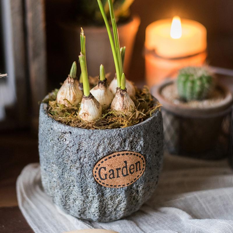 Cement Stone Tiny Garden Planter