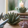 Ceramic Floral Table Accents