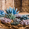Ceramic Floral Table Accents
