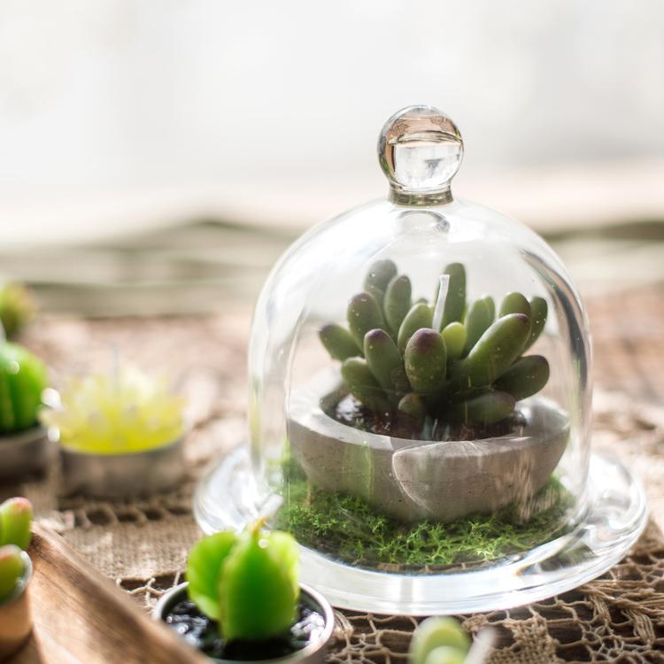 Clear Glass Dome