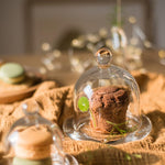 Clear Glass Dome
